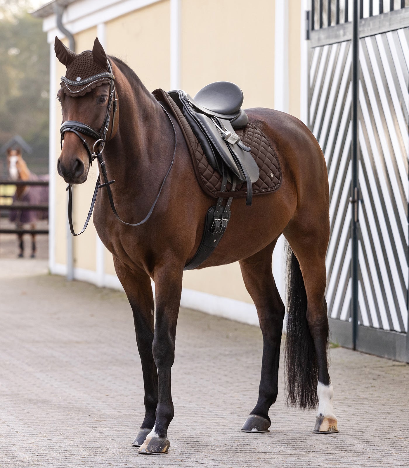 Waldhausen Saddle Pad Nepal, brun, D 4