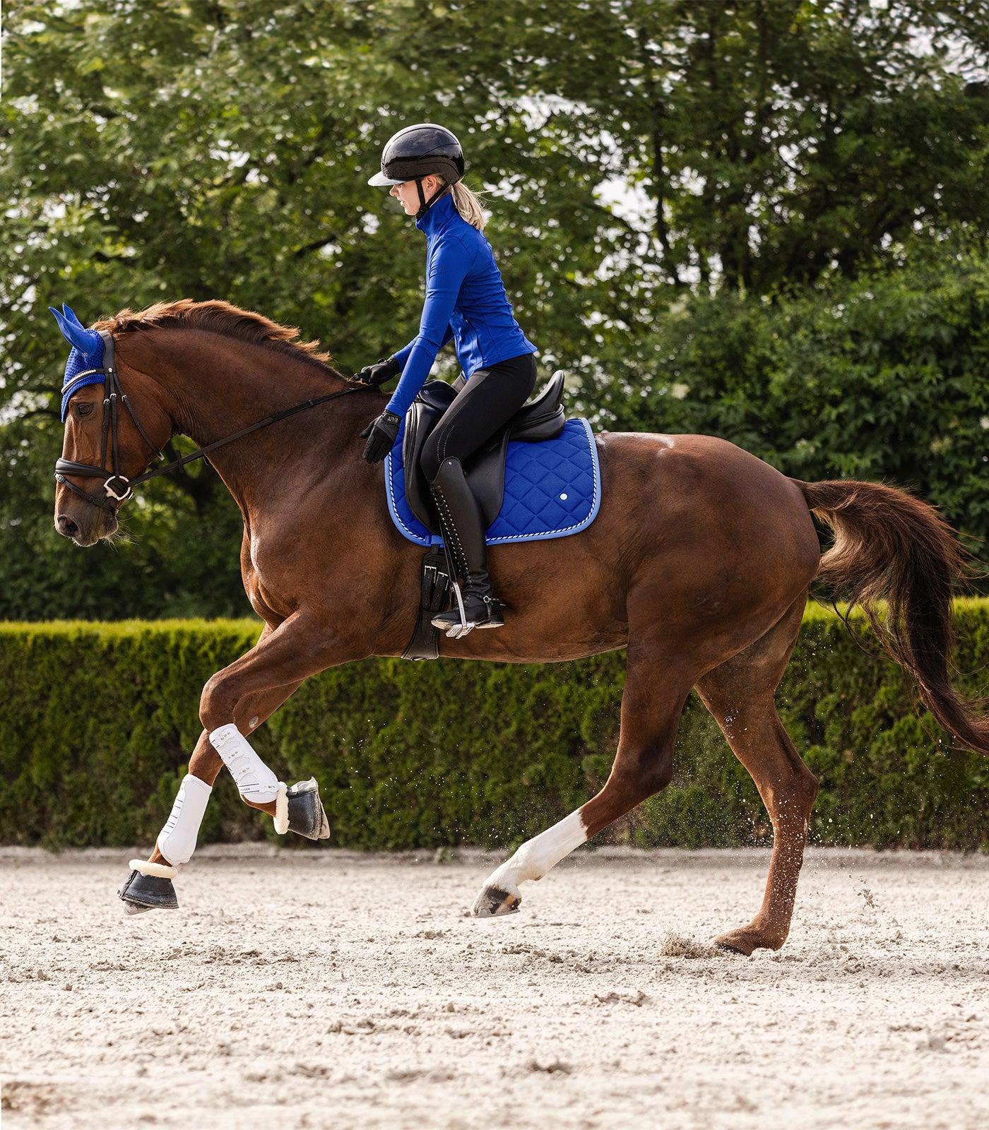Waldhausen saddle pad Breath, safirblå, D 4