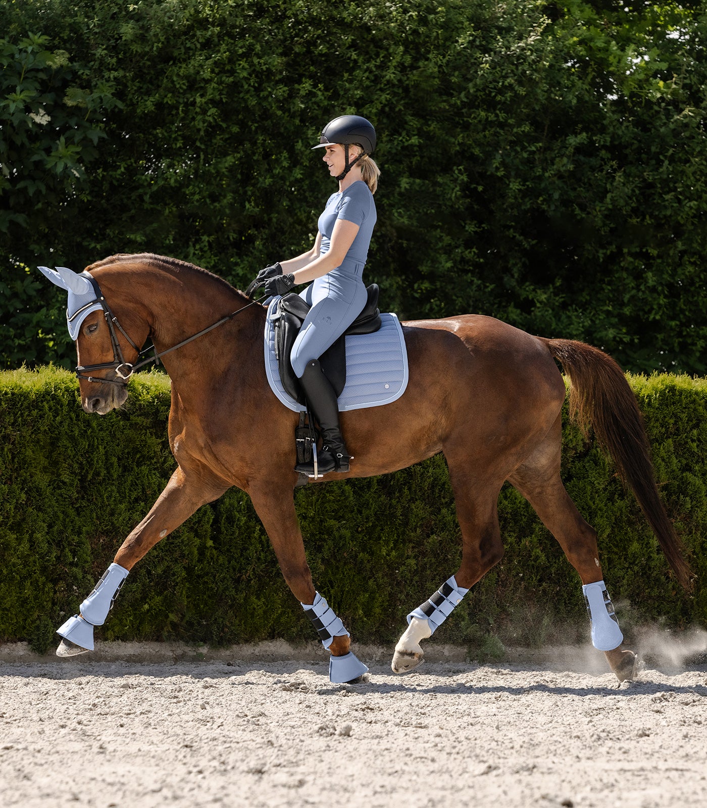 Waldhausen Saddle Pad Rimini, pastel blå, D 3