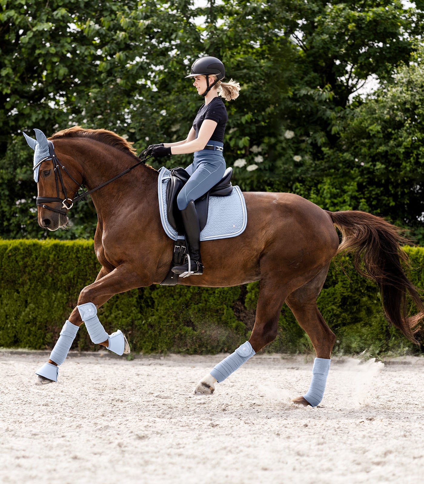 Waldhausen Saddle Pad Rom, pastel blå, AP 2