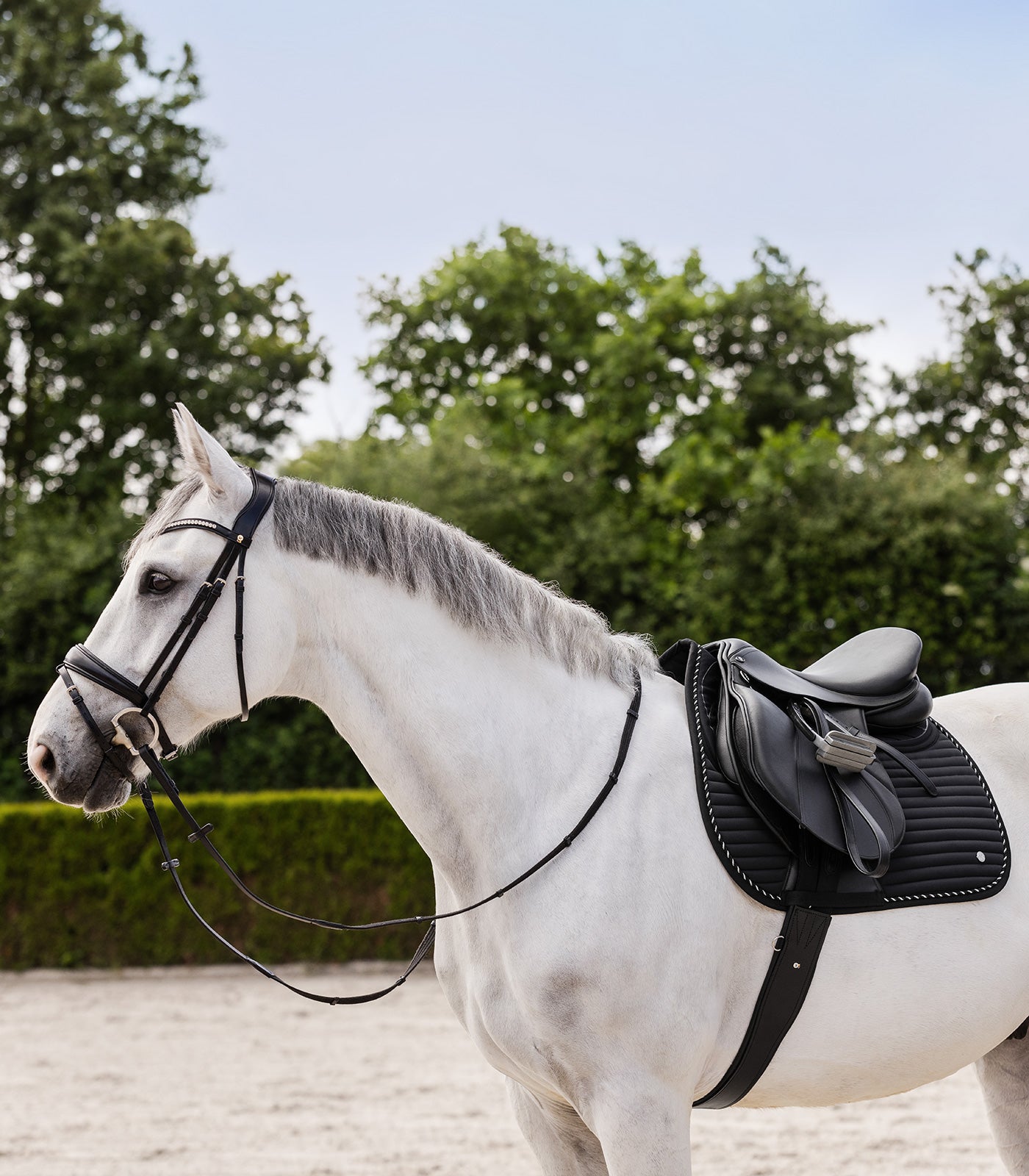 Waldhausen Saddle Pad Riga, sort, D 2