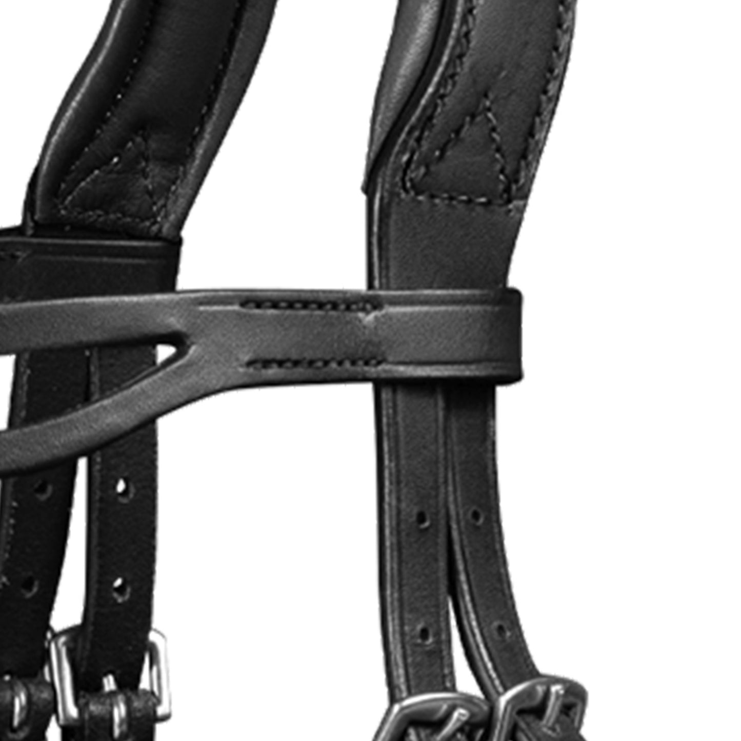 Waldhausen Islandsk anatomisk bid, sort 2
