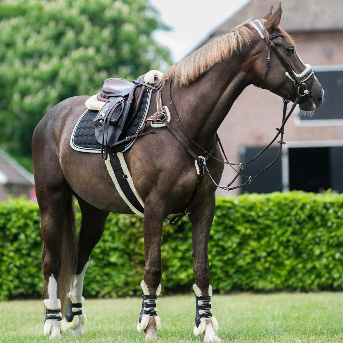 QHP Ontario fortøj 4