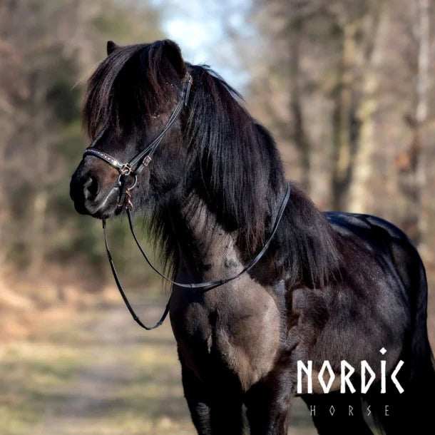 Nordic Horse Biothane tøjle - Sort