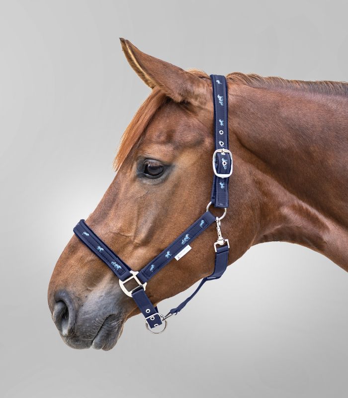 Waldhausen Little Horse Grime - Navy