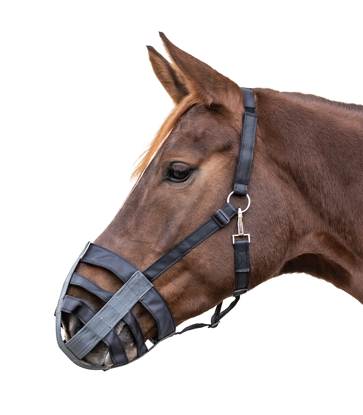 Waldhausen Muzzle, tekstil - Sort 5