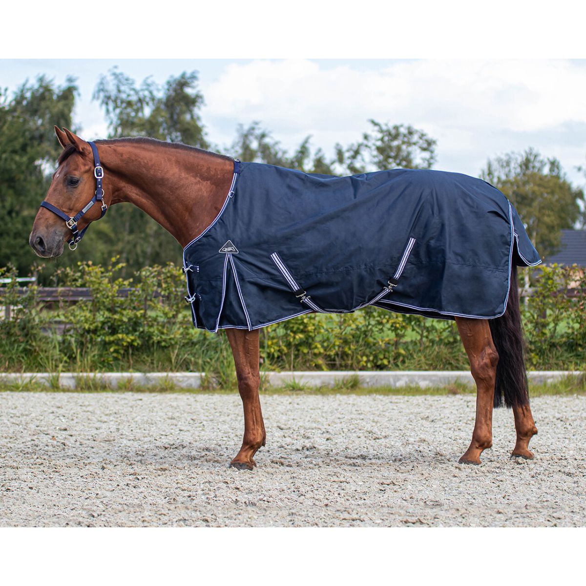 QHP Luxury Turnout 50gr regndækken, navy 2