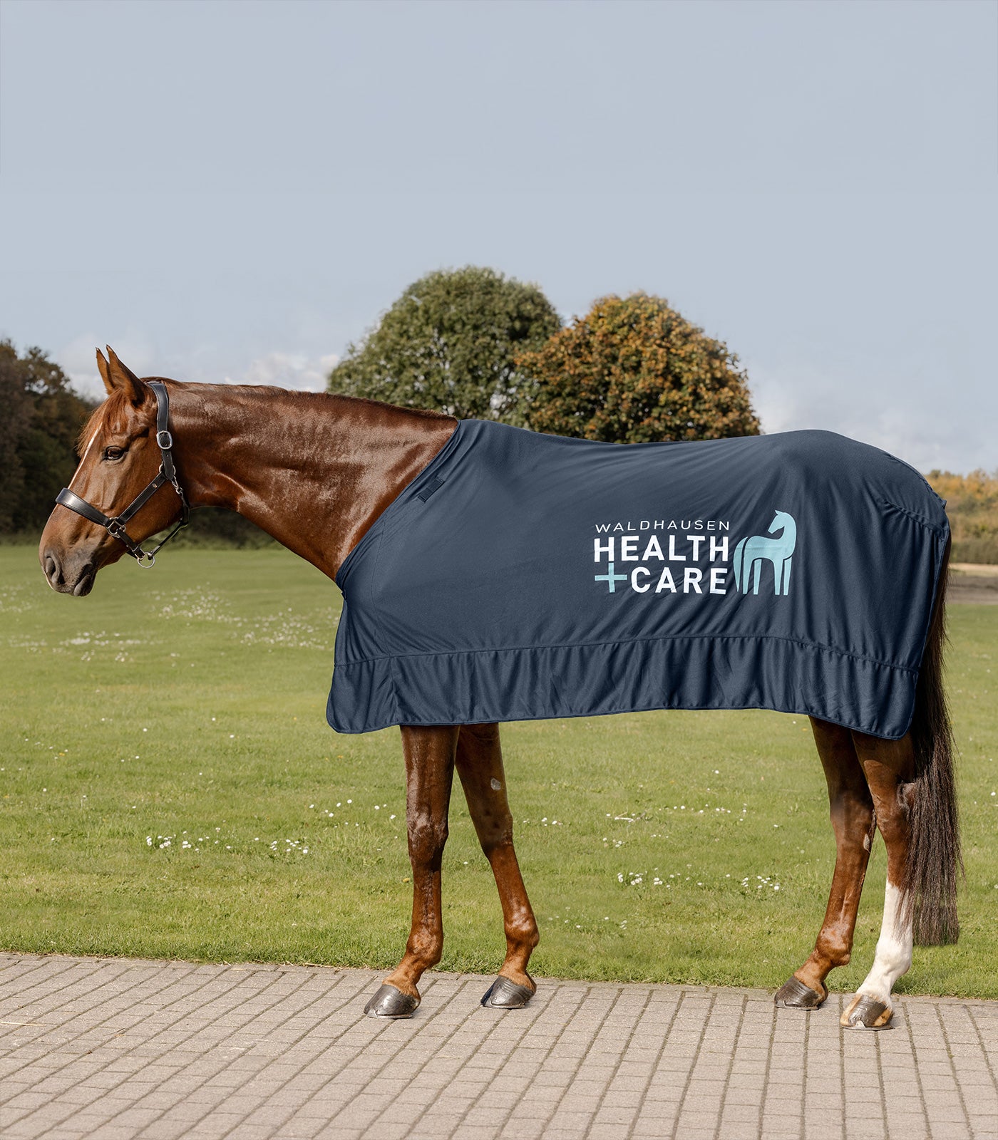 Waldhausen Waldhausen Health + Care Ice Layer tæppe - Nattens Blå 38