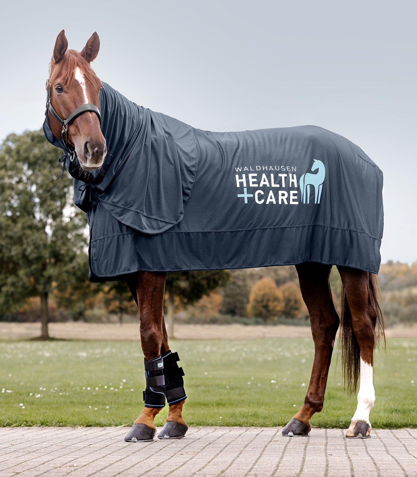 Waldhausen Waldhausen Health + Care Ice Layer halsstykke - Nattens Blå 14
