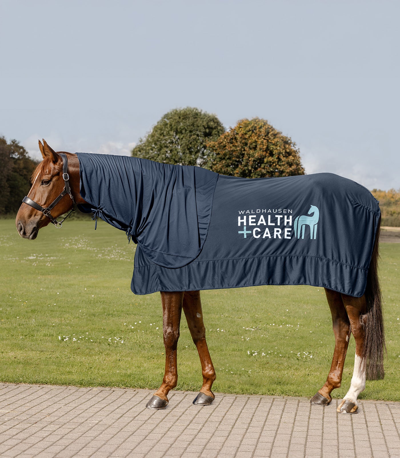 Waldhausen Waldhausen Health + Care Ice Layer halsstykke - Nattens Blå 15