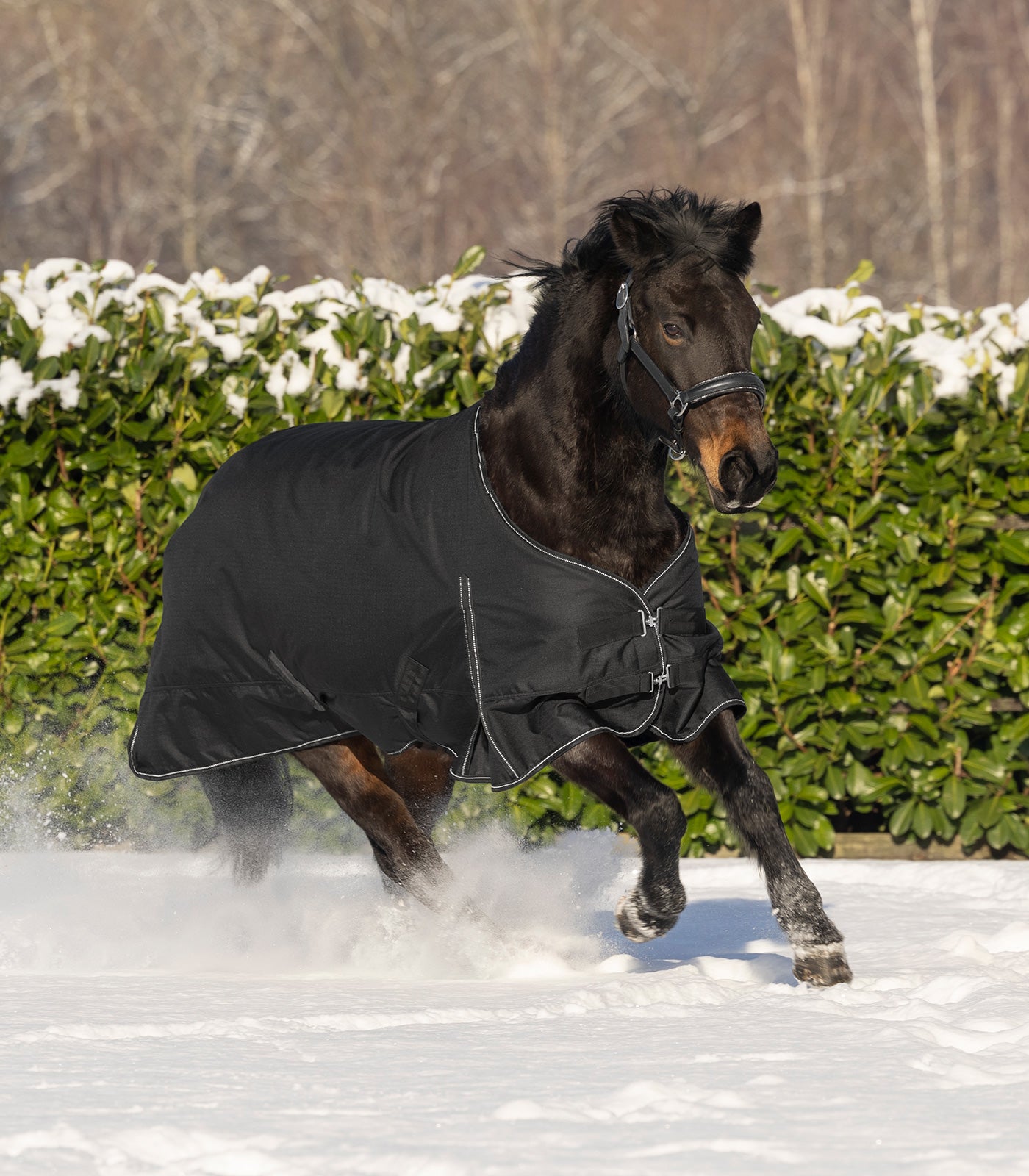 Waldhausen NORDIC Dækken, 200 g - Sort 45