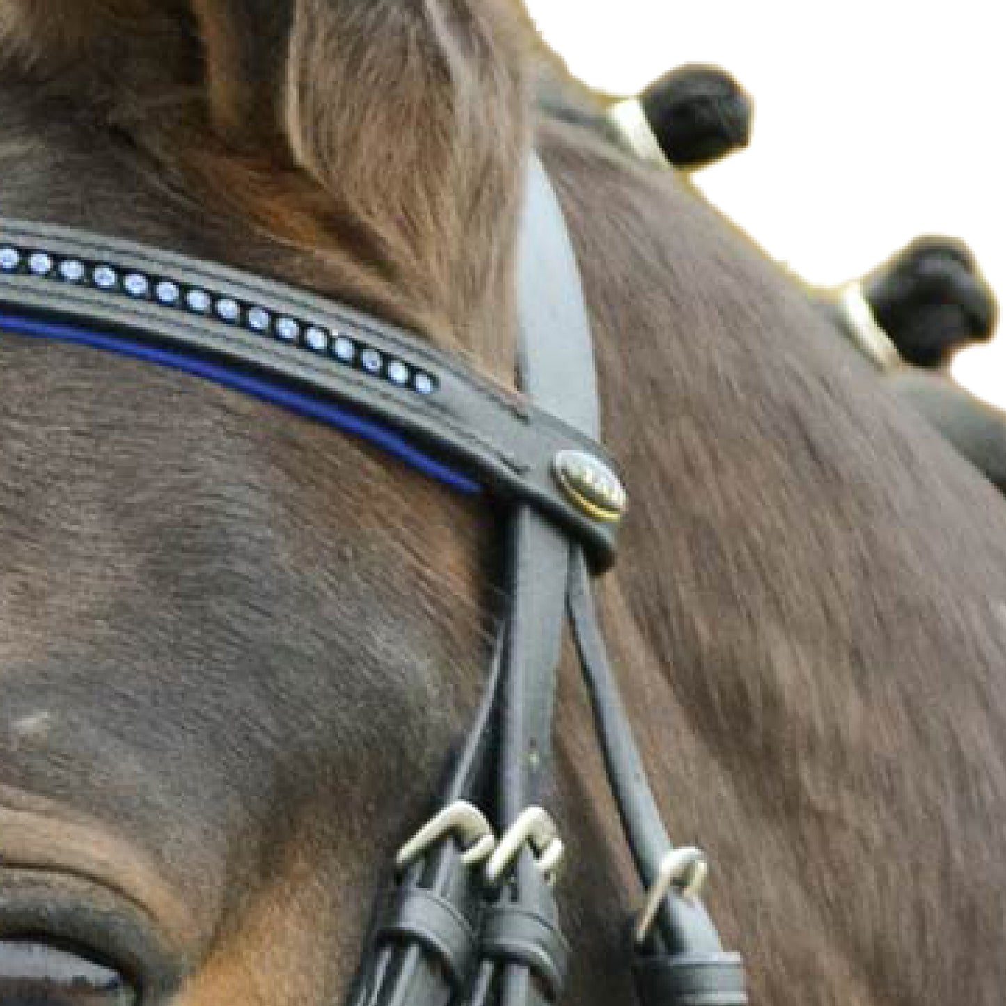 STAR Bridle Diamond - Blå 22