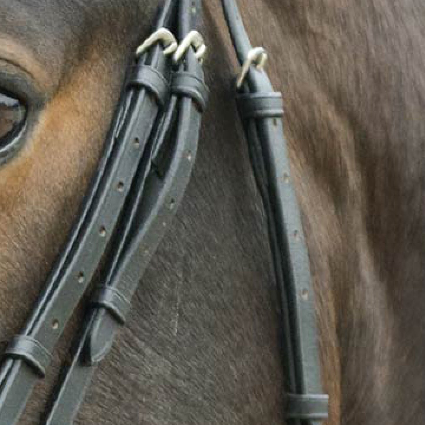 STAR Bridle Diamond - Blå 23