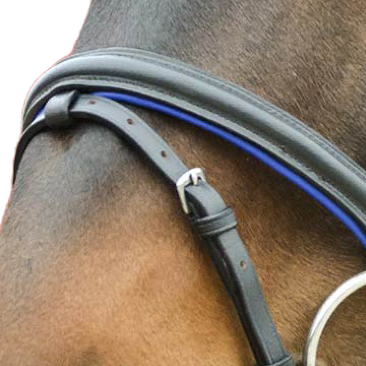 STAR Bridle Diamond - Blå 25