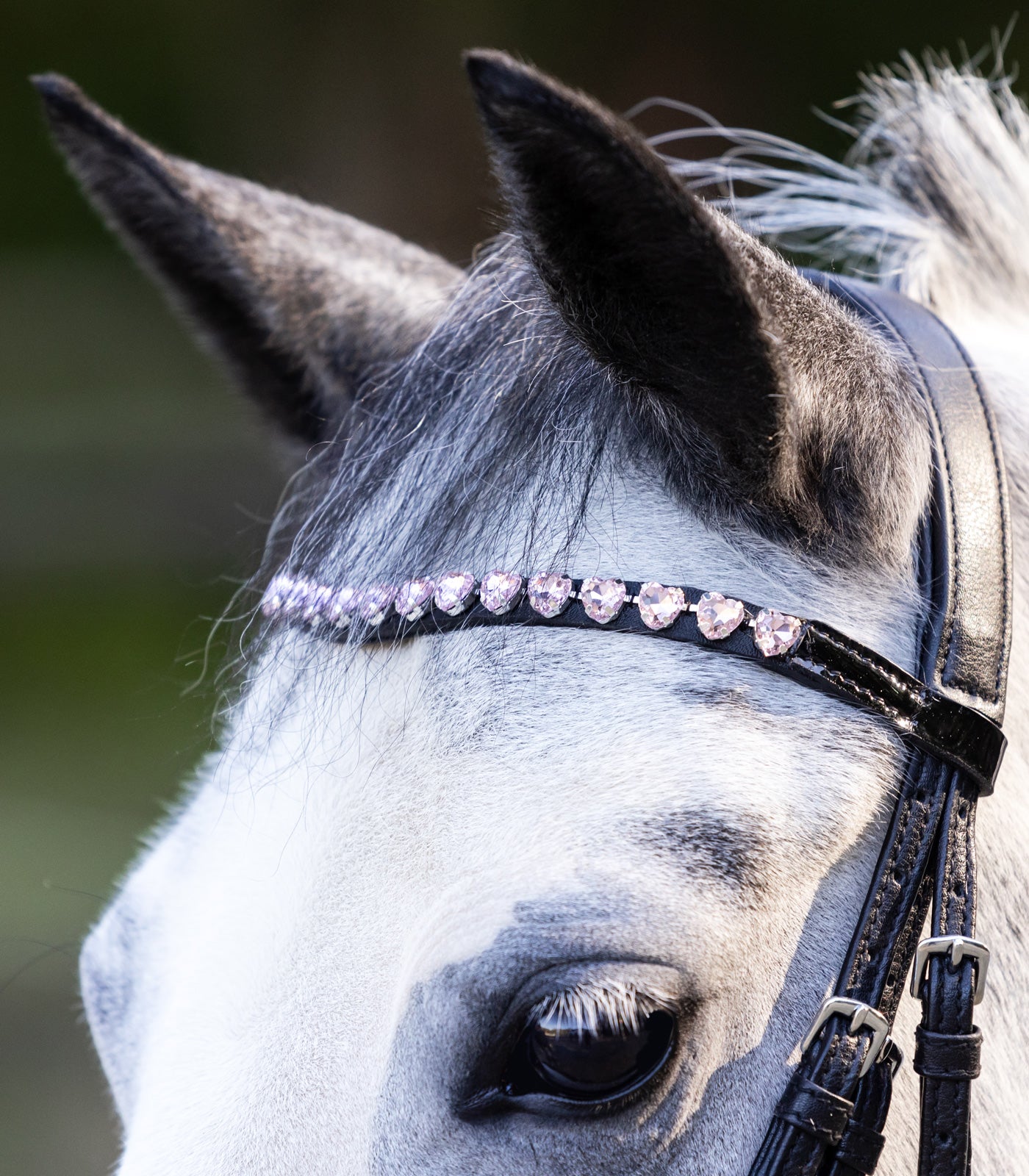 Waldhausen Glade hjerters bid - Sort 15