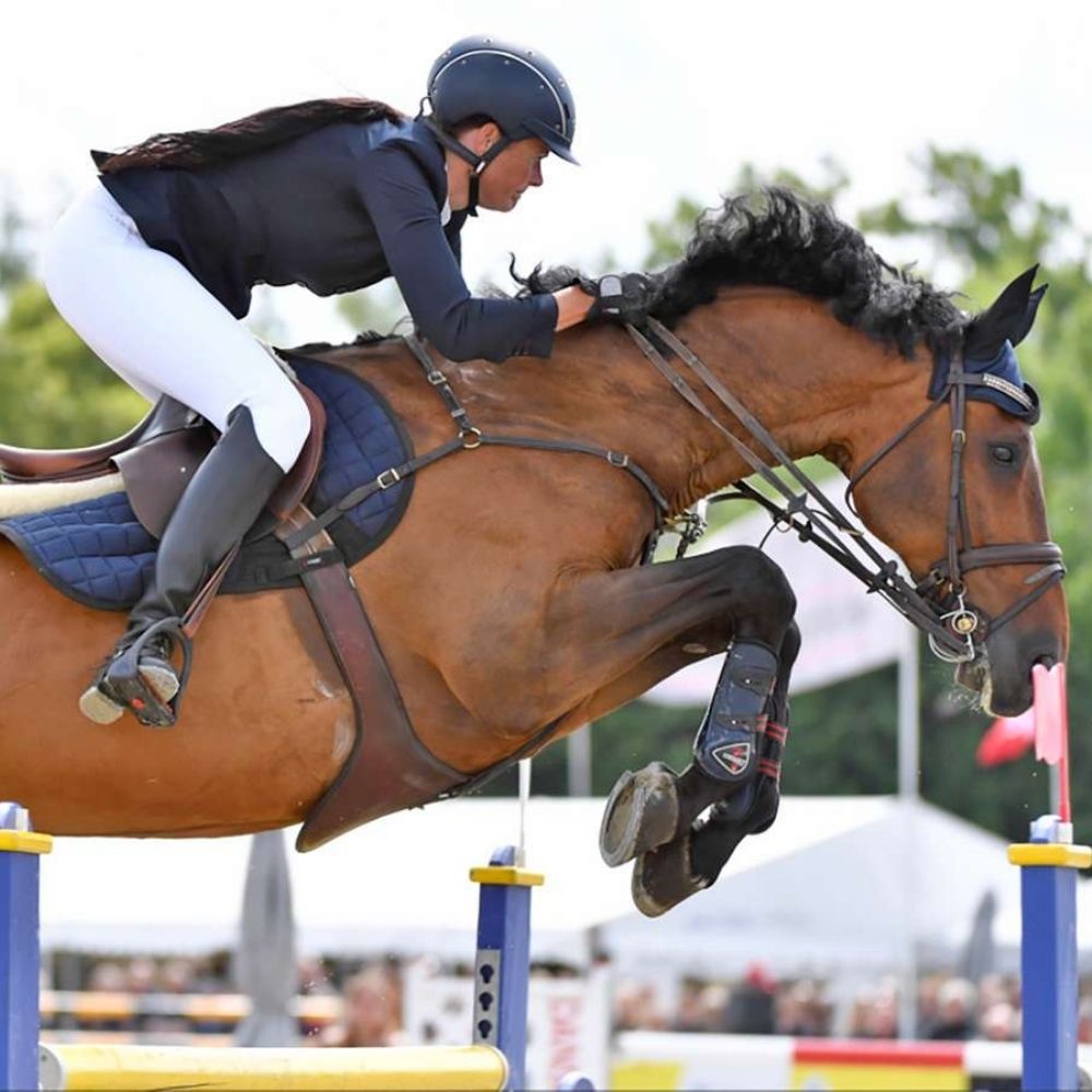 Catago FIR-Tech springgamache 3