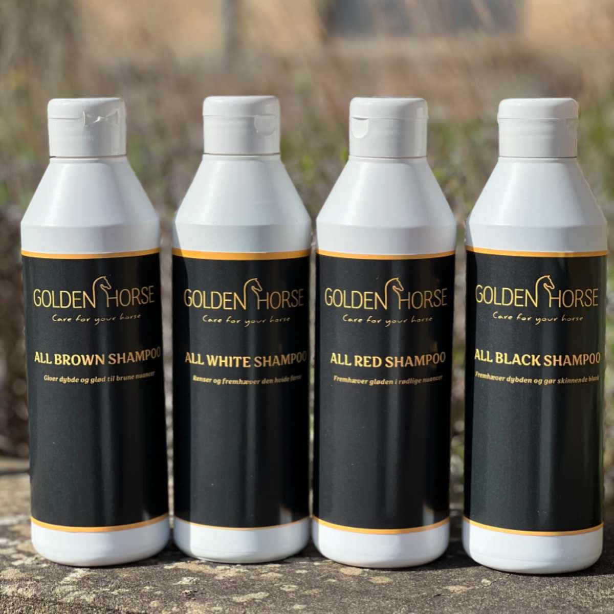 Golden Horse All Brown shampoo 2