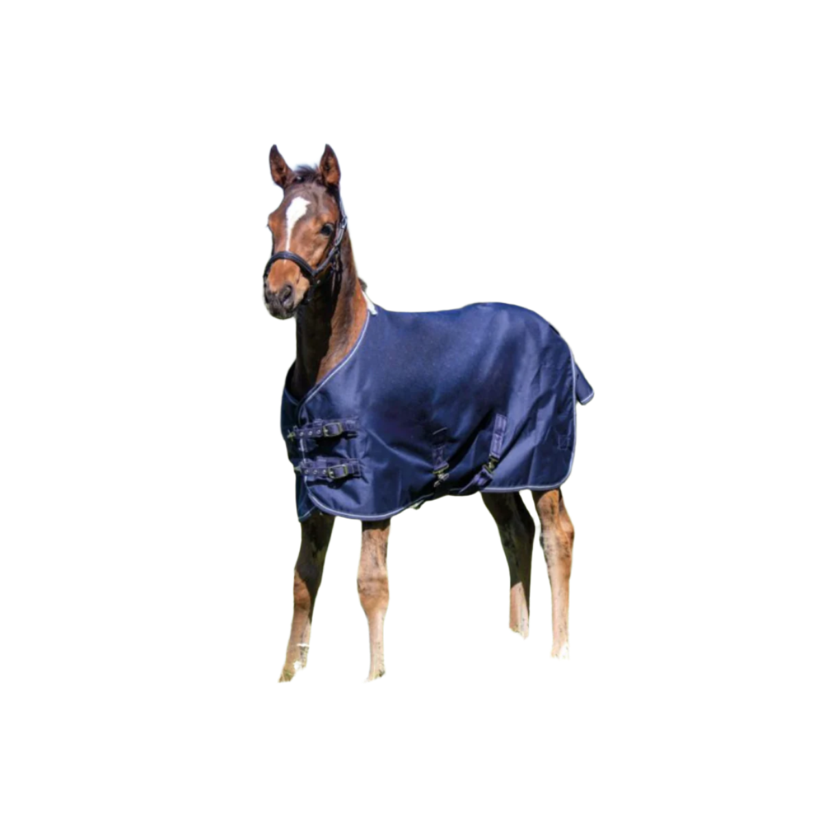 HKM Føldækken professional med polarfleece - Navy