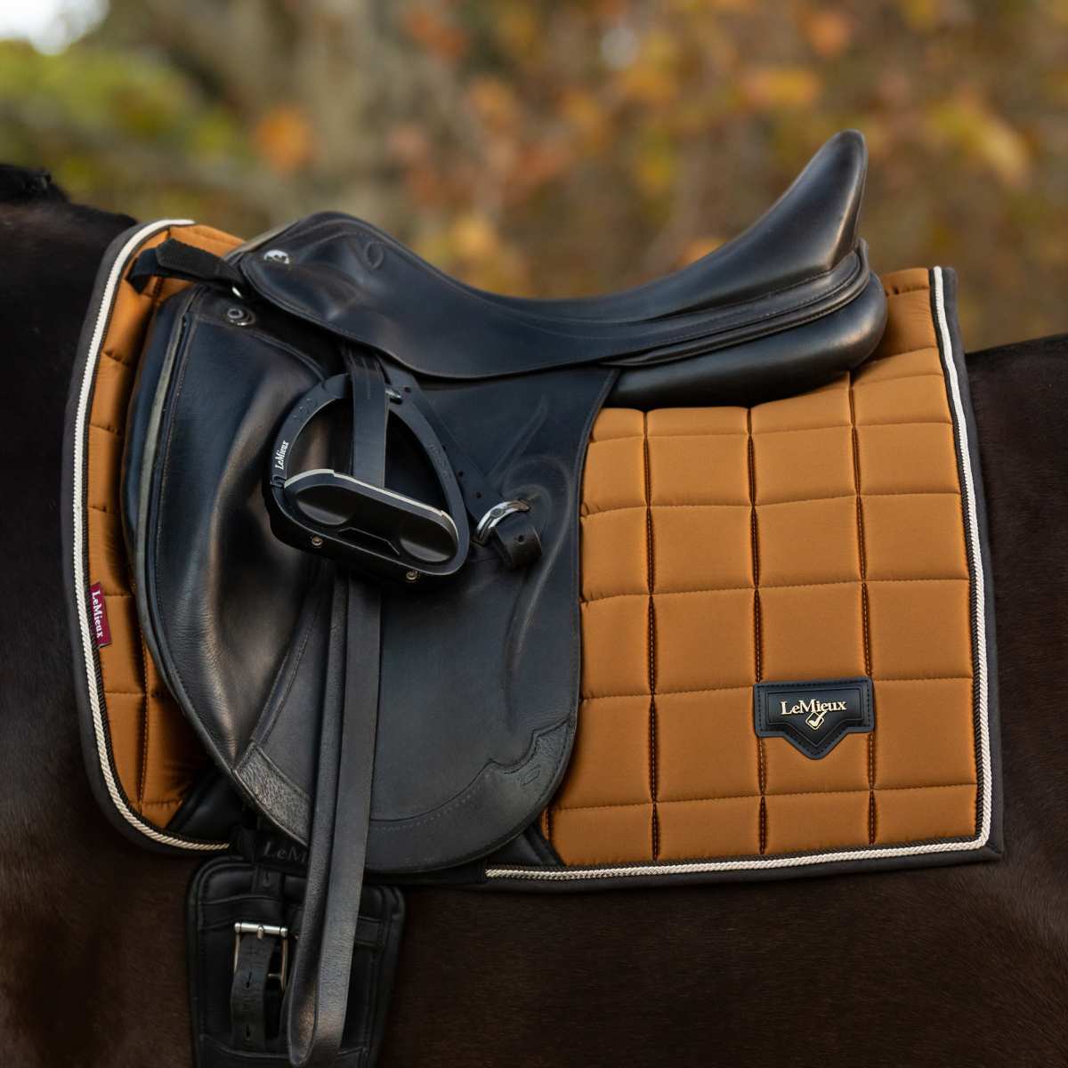 LeMieux Loire Classic dressurunderlag, ginger 2