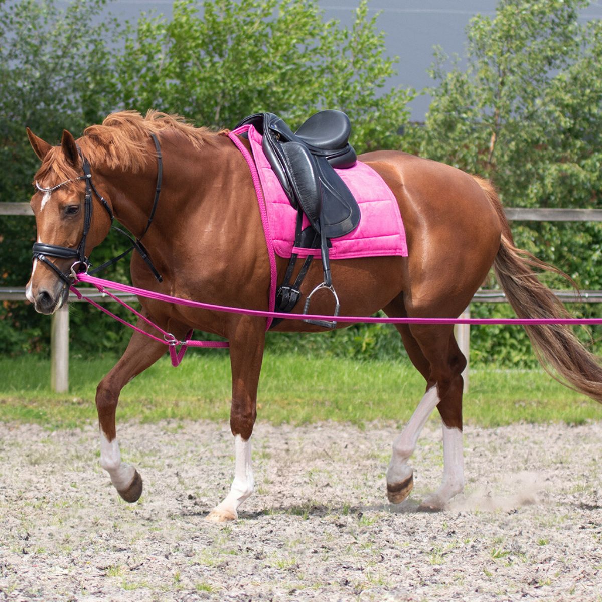 QHP Longehjælp - Fuchsia