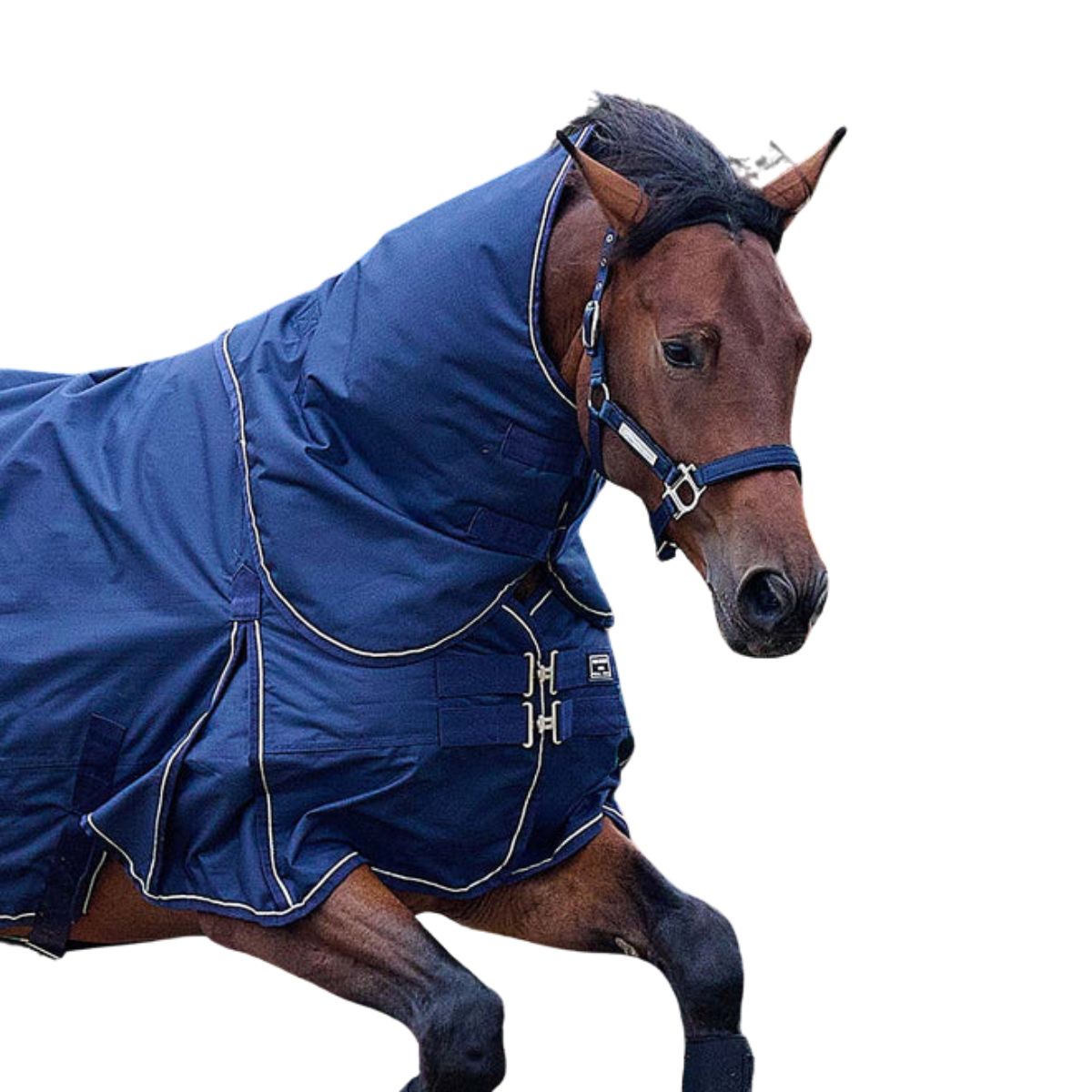 RIDER BY HORSE Sport Dækkenhals 150g - Navy