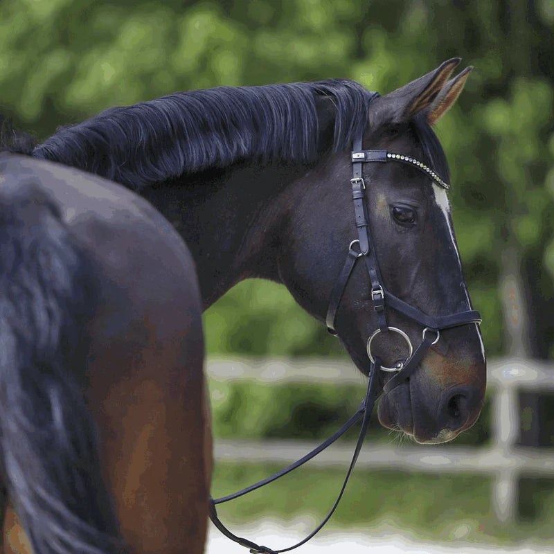 Herman Sprenger 40582 Mullen Mouth snaffle