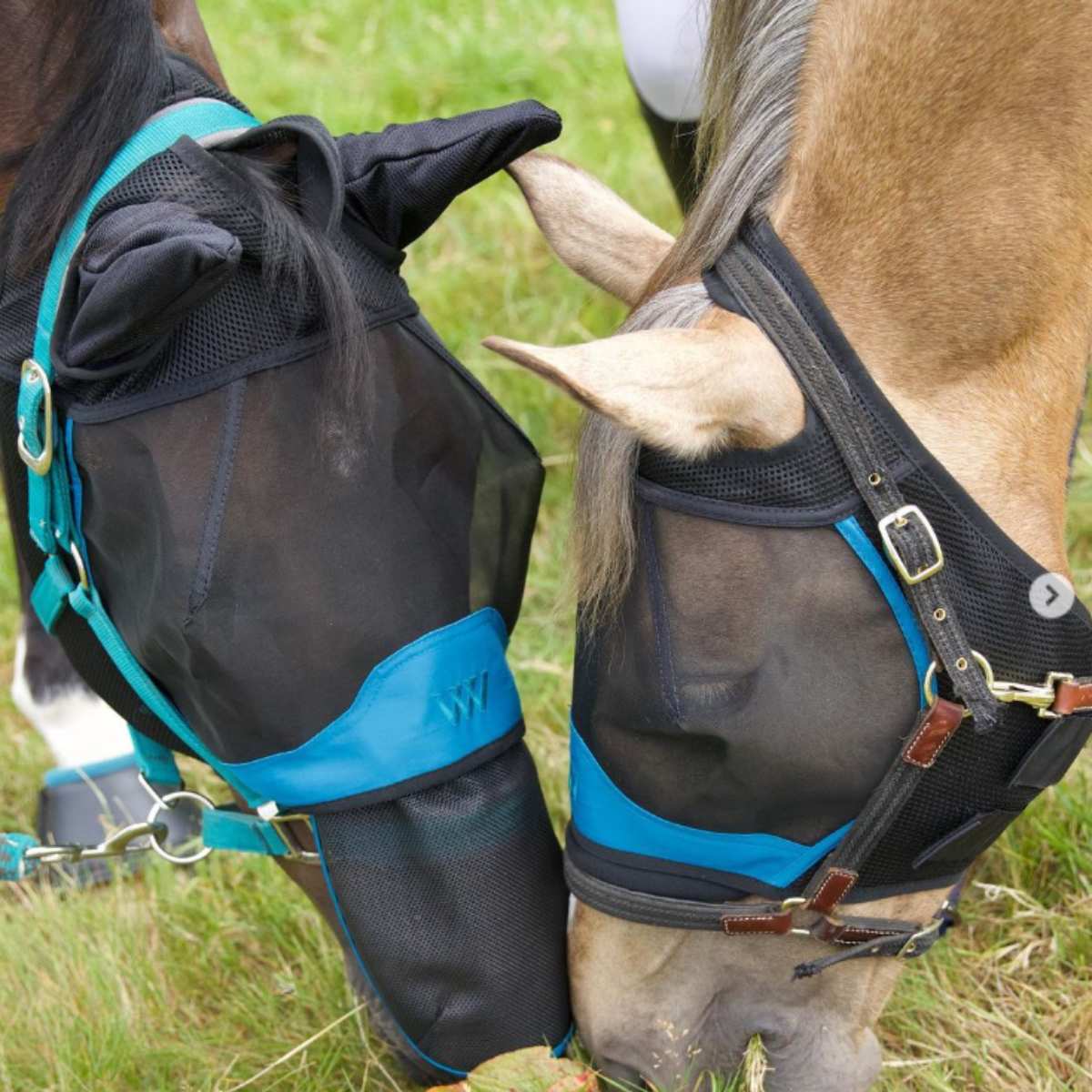 Woof Wear mulebeskytter til fluemaske 2