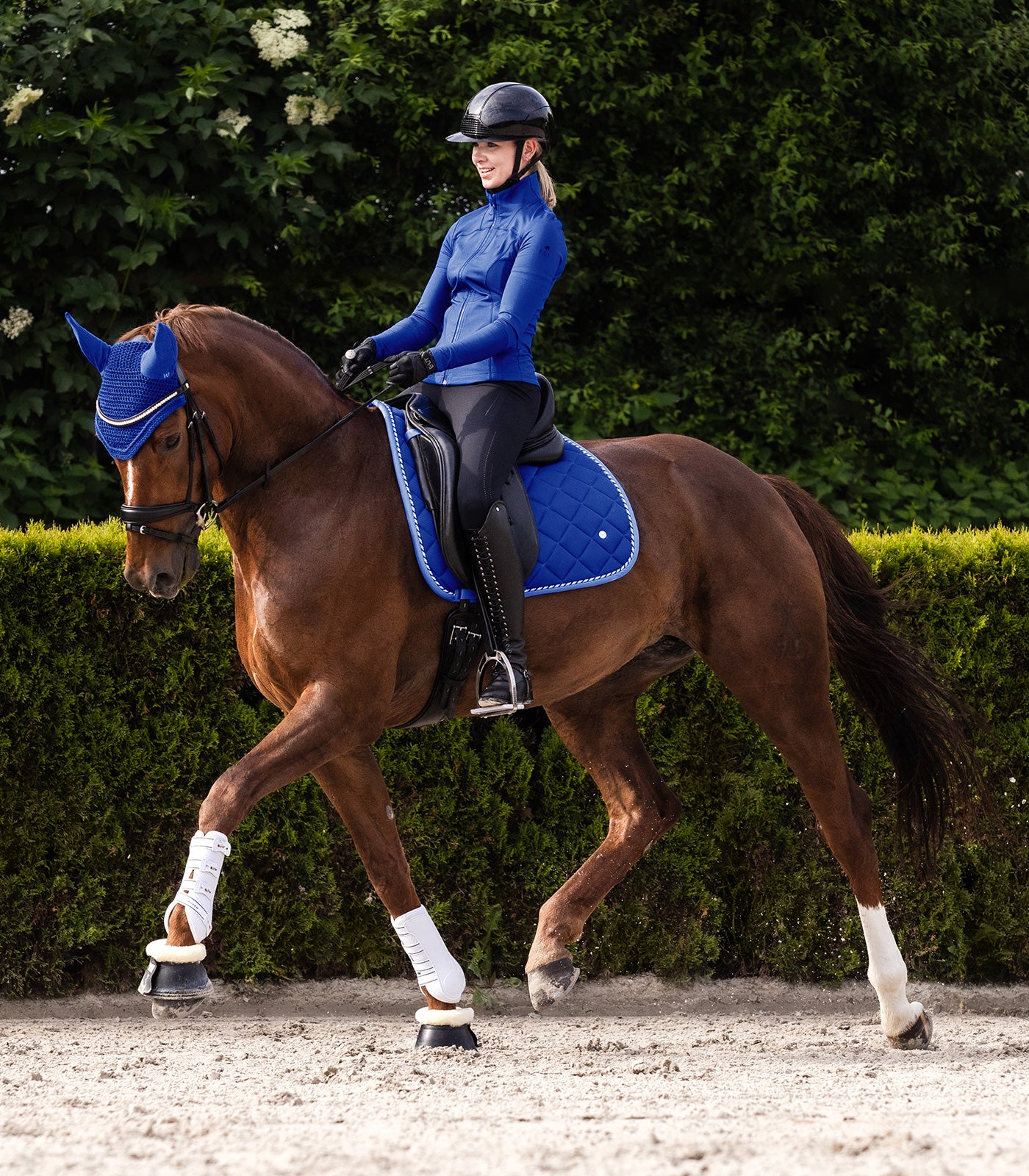 Waldhausen Fly Veil Basic, safirblå, Fuldt 4