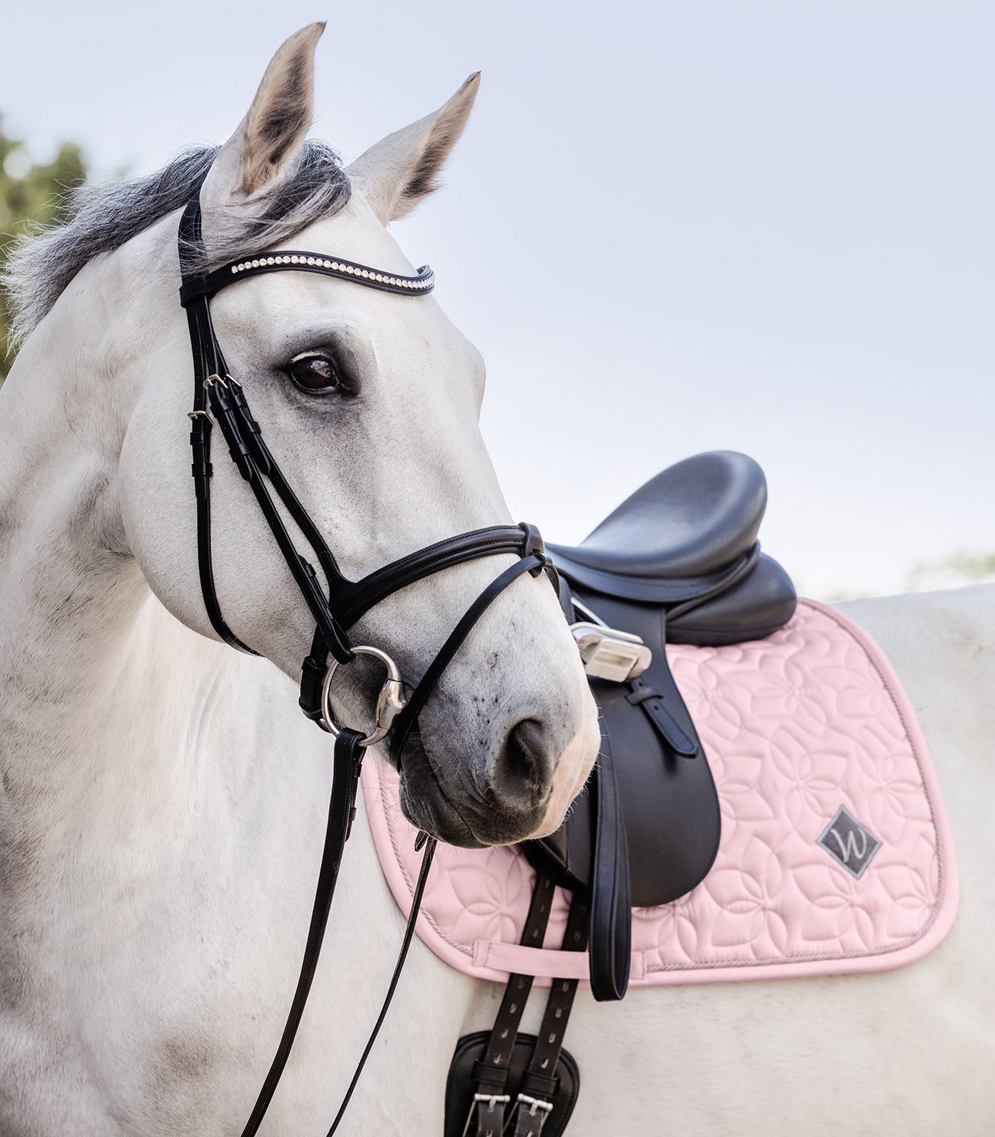 Waldhausen saddle pad Marseille, powder rose, D 2