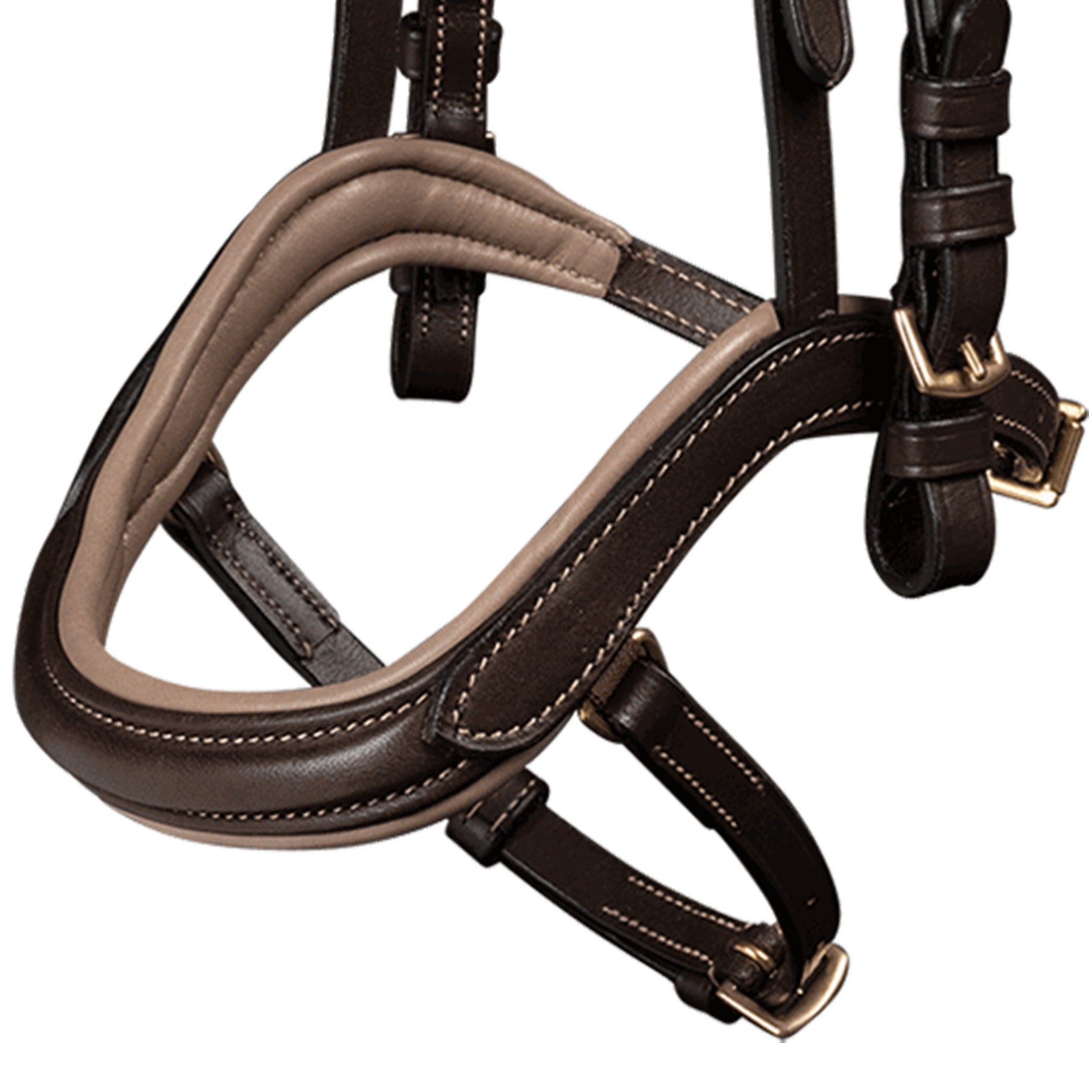 Waldhausen Islandsk anatomisk bid, brun 5