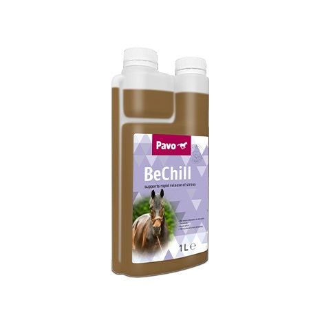 Pavo BeChill, 1L 1