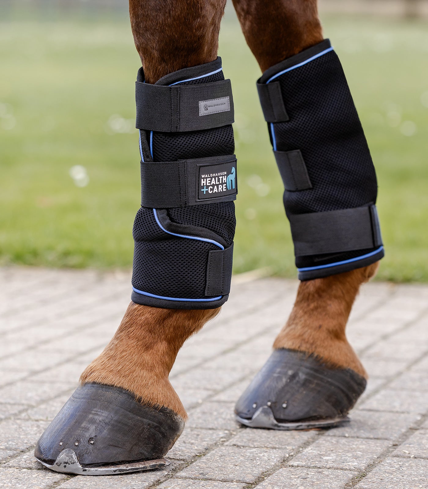 Waldhausen Waldhausen Health + Care Ice Layer Boots, par - Sort 15