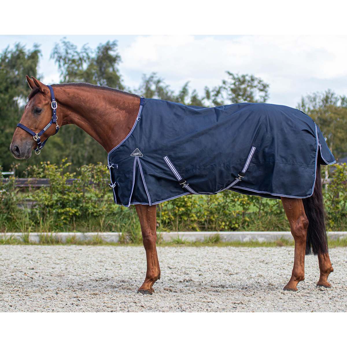 QHP Luxe Turnout dækken 200g 3