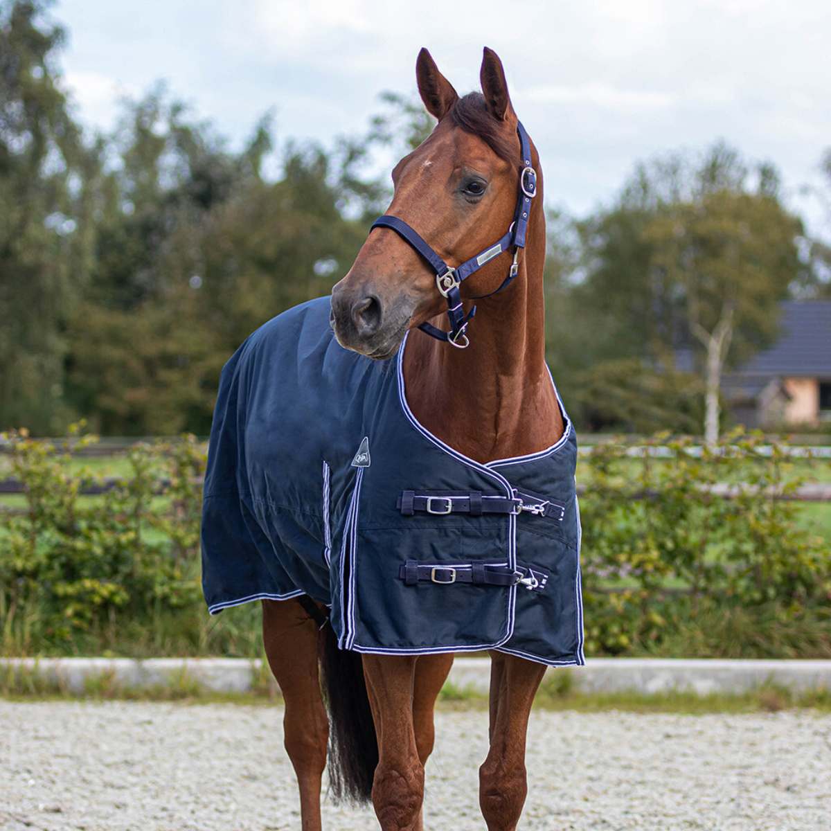 QHP Luxe Turnout dækken 200g 2