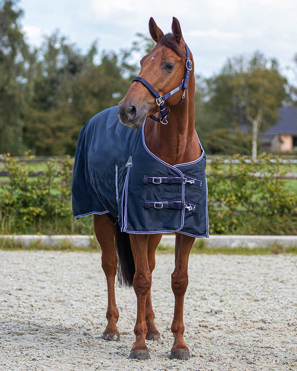 QHP Luxe Turnout dækken 300g 2