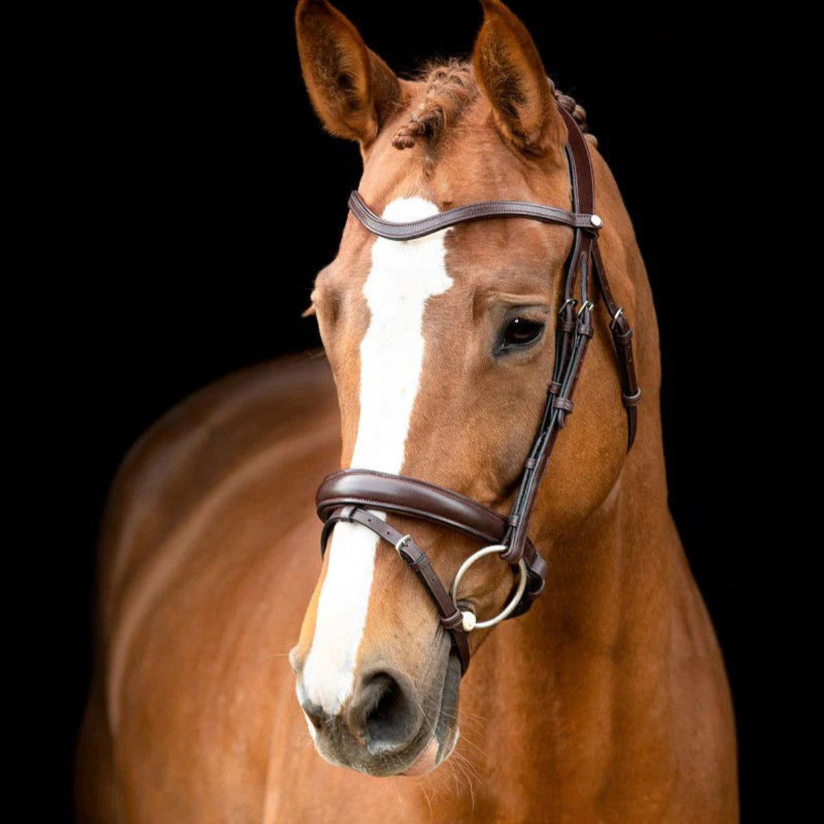 Økologisk Garvet Normandie Dressage Trense - Brun