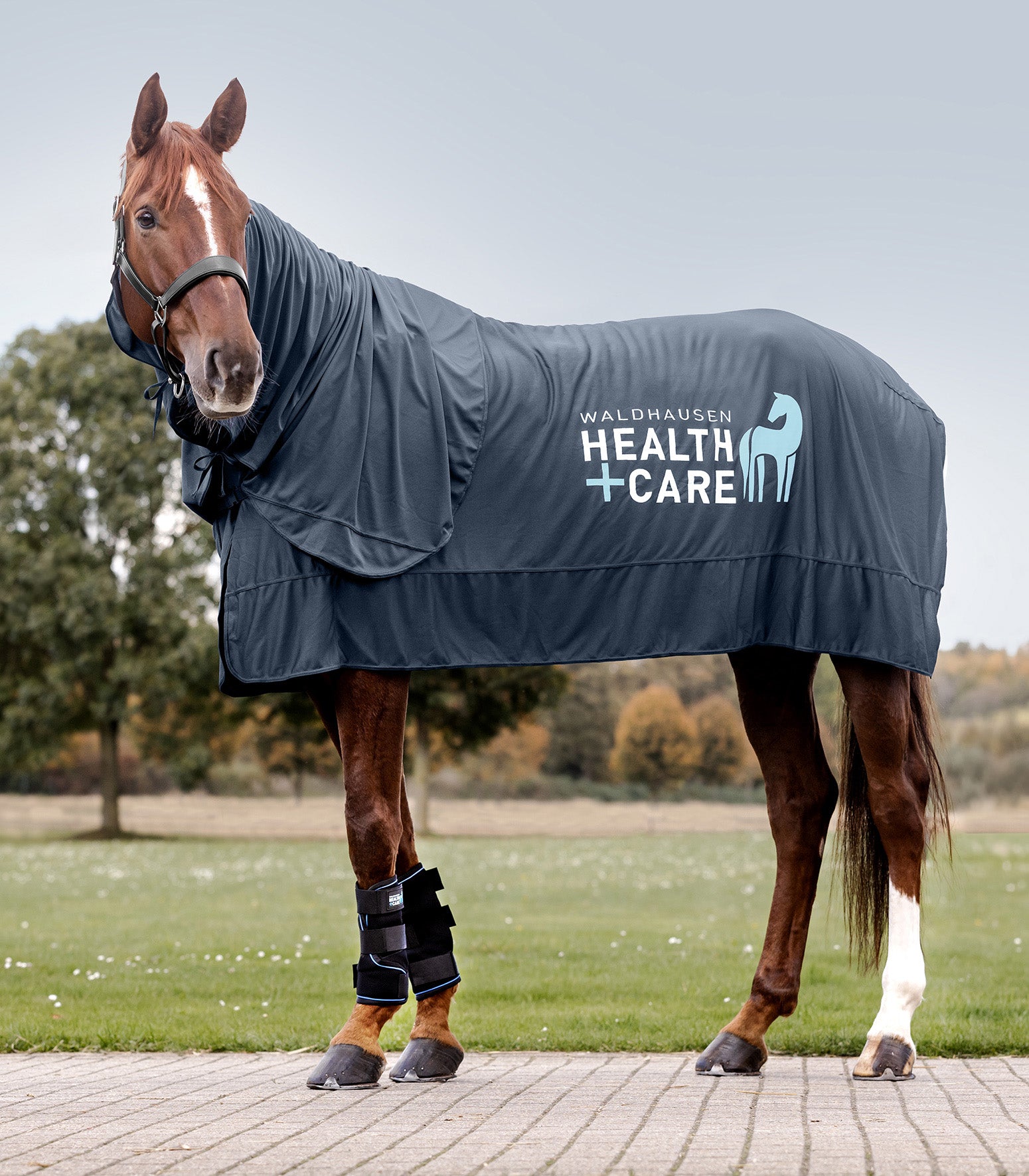 Waldhausen Waldhausen Health + Care Ice Layer tæppe - Nattens Blå 37