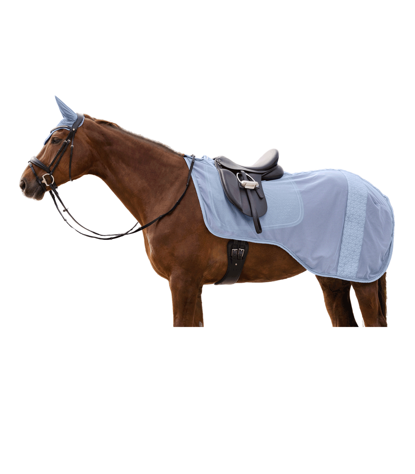 Waldhausen Rom fly ride tæppe - Pastel Blå 5
