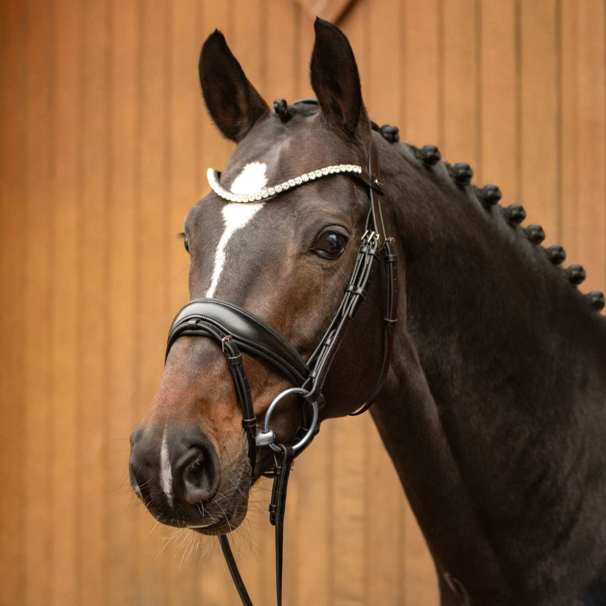 Passier Favorite trense 2