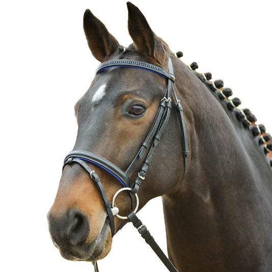 STAR Bridle Diamond - Blå 21
