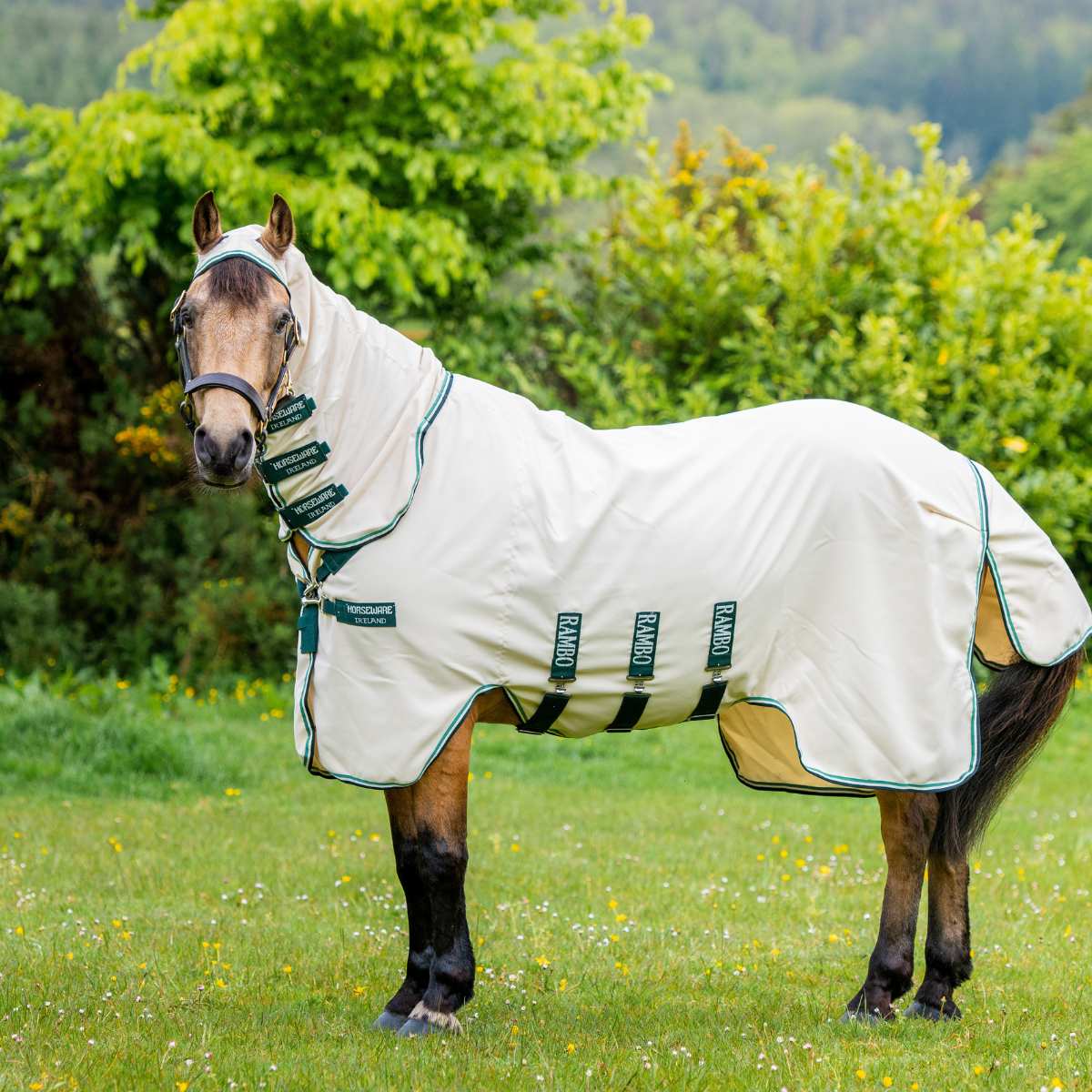Rambo Pony Hoody eksem/insektdækken 3
