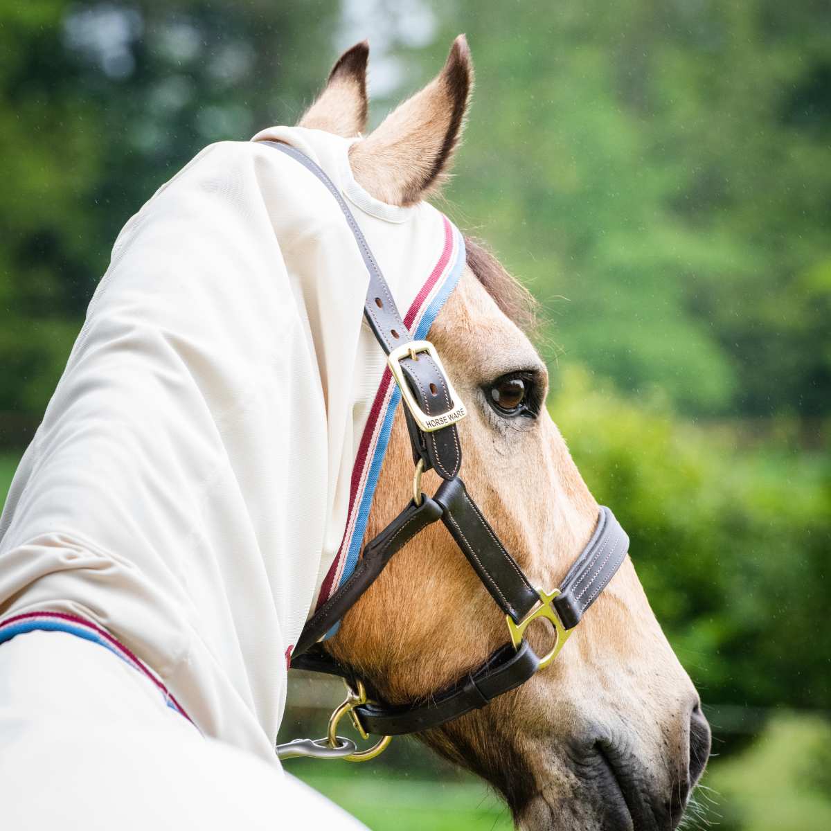 Rambo Pony Hoody eksem/insektdækken 2