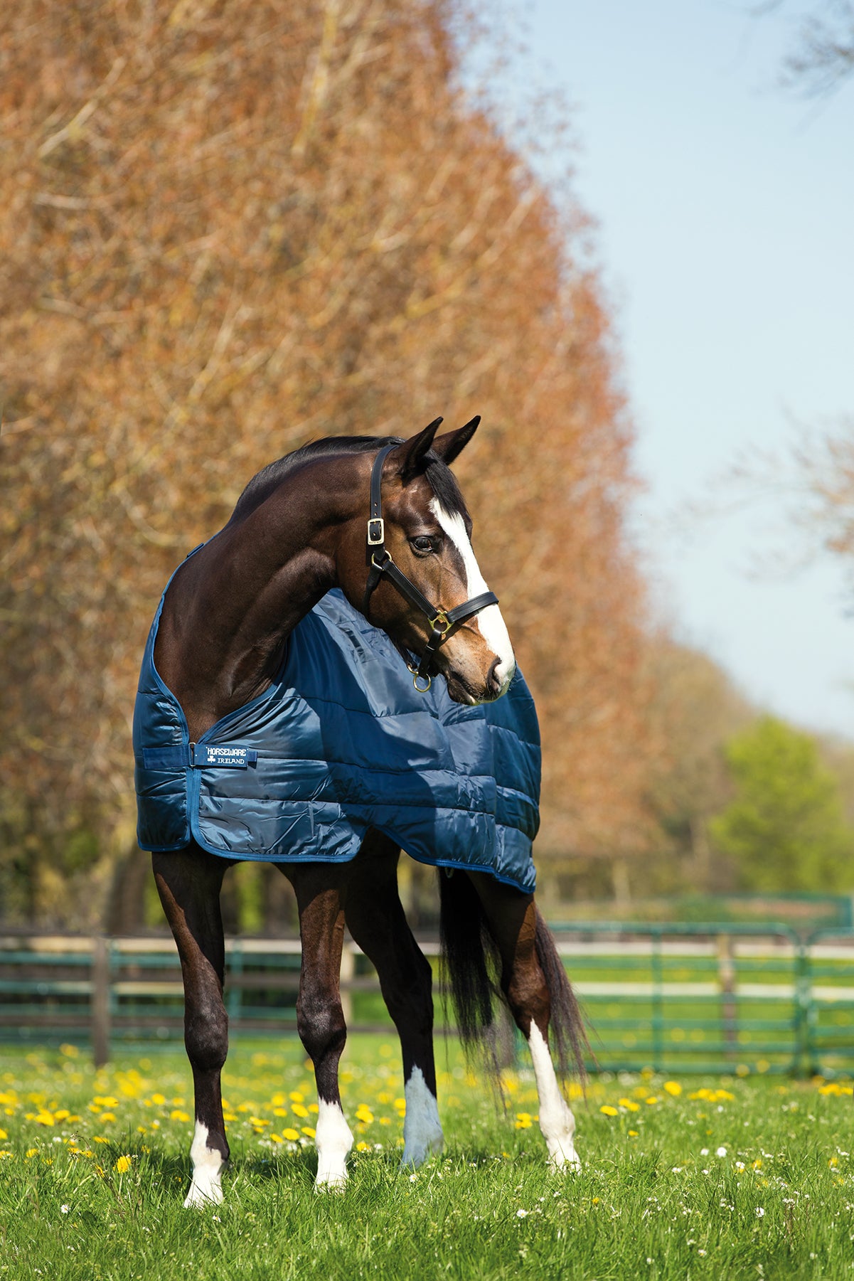 Horseware liner 100g 3