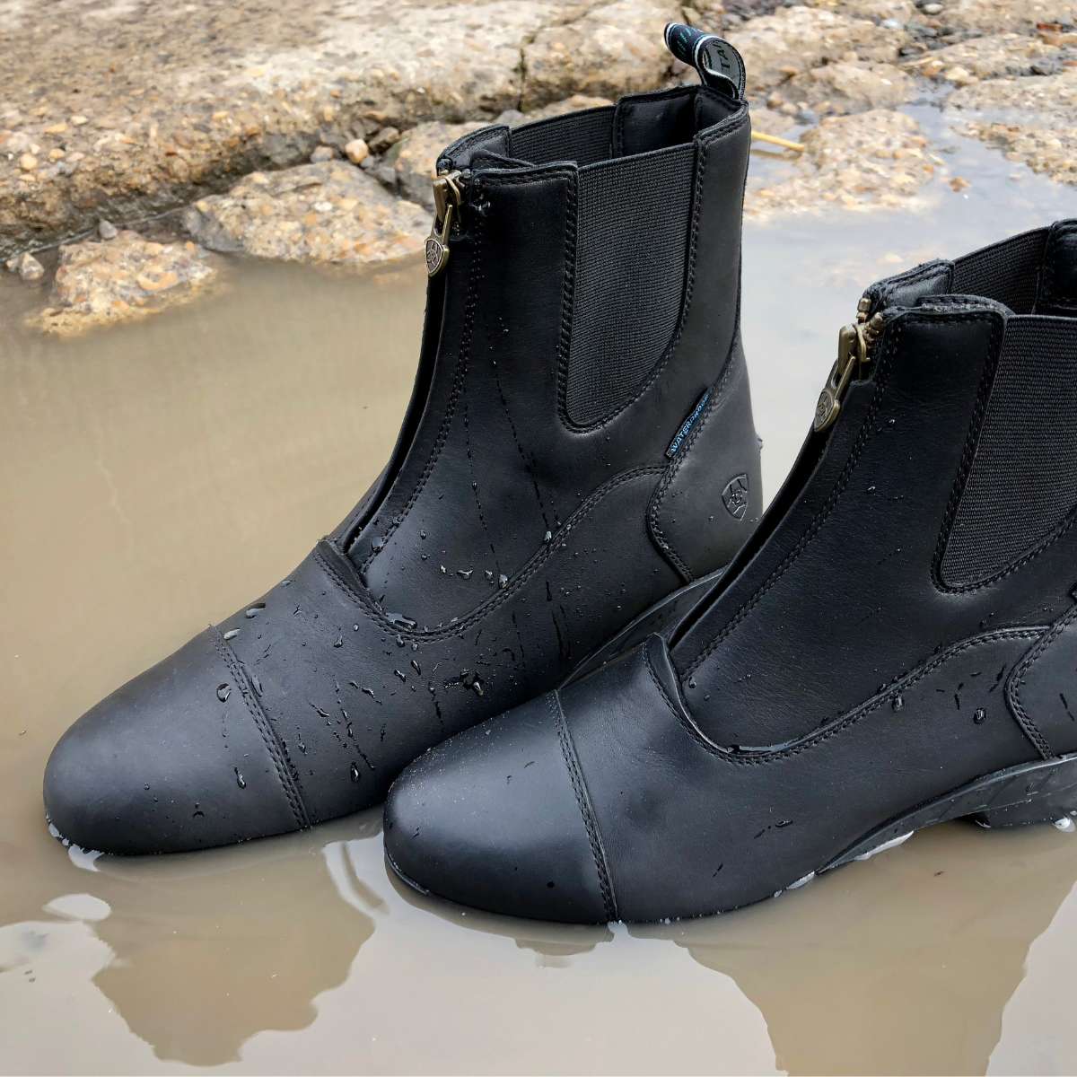 Ariat Heritage IV Zip H20 jodhpurstøvle 7