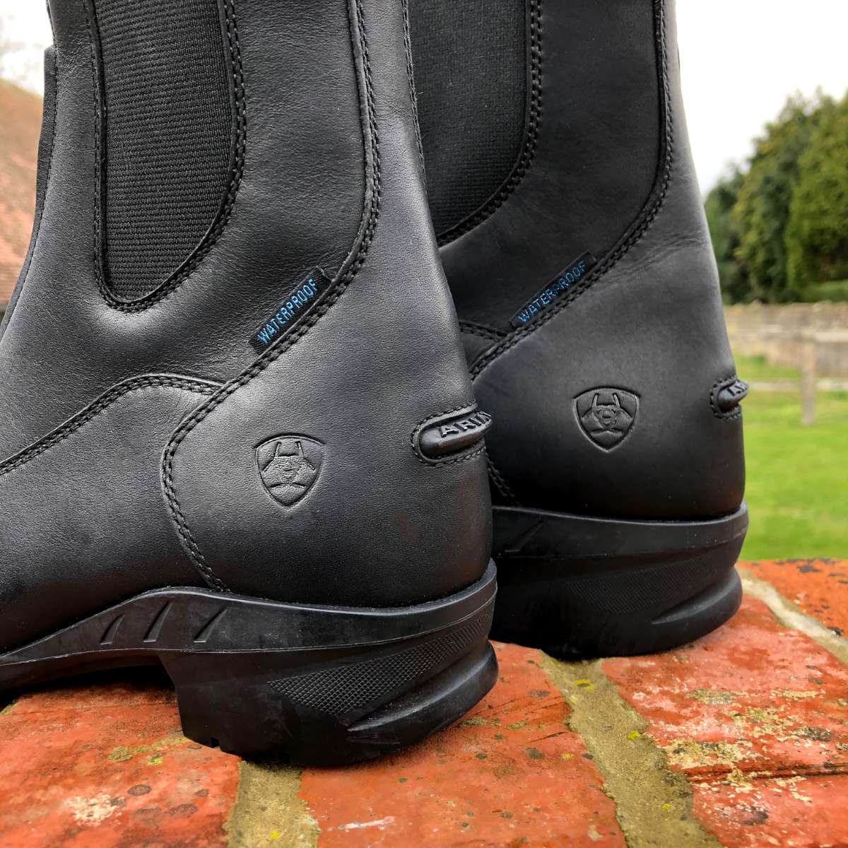 Ariat Heritage IV Zip H20 jodhpurstøvle 8