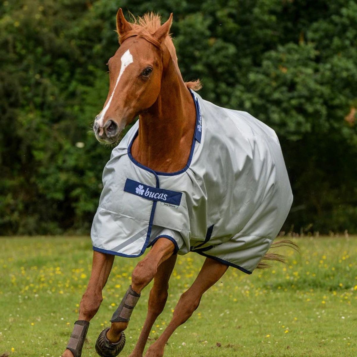 Bucas Power Turnout, 125 cm