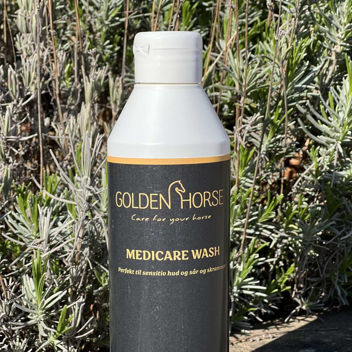 Golden Horse Medicare Wash 2