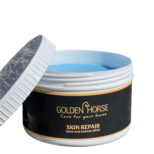 Golden Horse Skin Repair 1