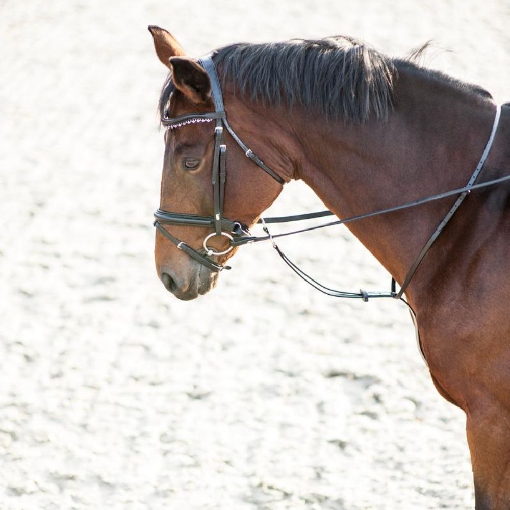 HorseGuard martingal 3