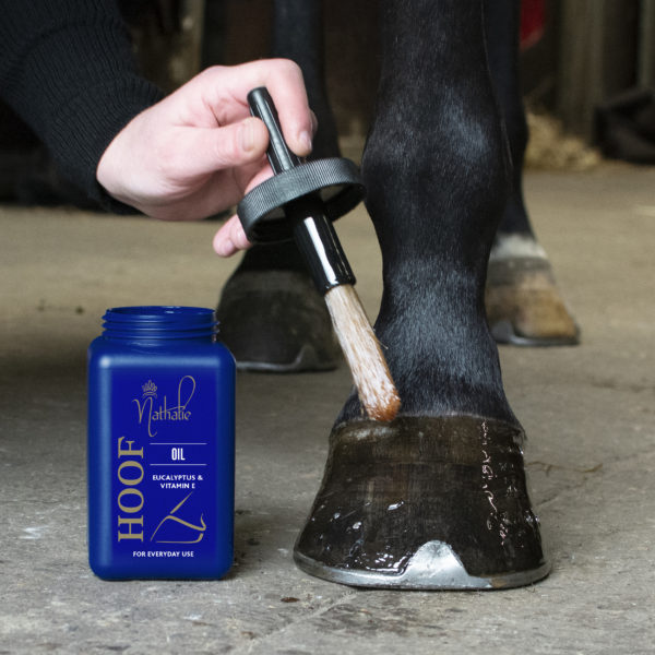 Nathalie Horse Care Hoof Oil 2